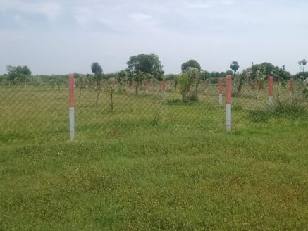 Plots for sale in Chengalpattu