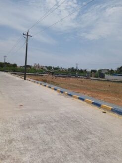 Image of exciting investment lands available in Padappai.