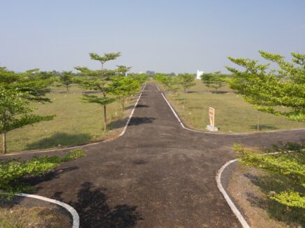 Affordable luxury plots in Manimangalam