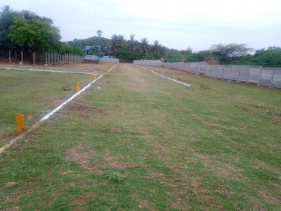 Stunning plots in Urapakkam