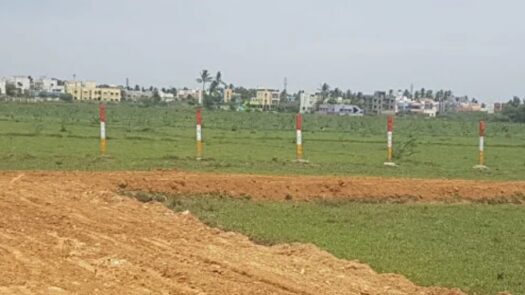 Prime plots in Urapakkam