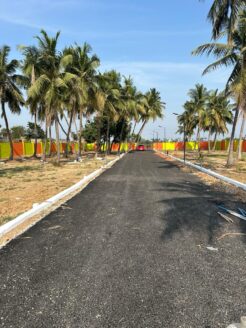 Southern Sri Thirumalai Nagar