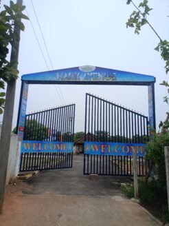 mark avenue