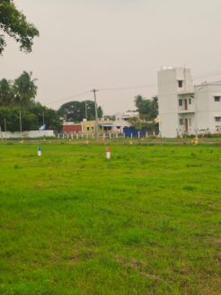 Premium villa plots for sale at MADURAI near KARUPPAIYURANI, Per cent 5.90 LAKHS ONLY