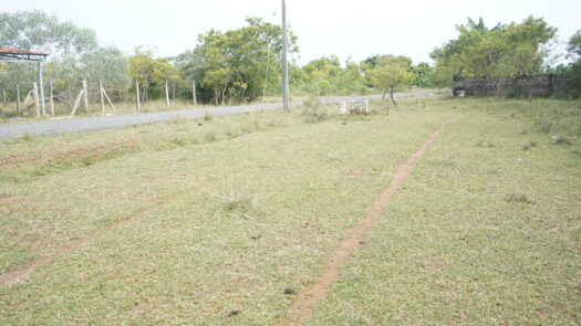 Resale Plot in Sembakkam (1953 Sq ft) – 2 Minutes From Sembakam Bus Stop (800 Mtrs)