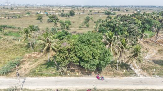 Greeny Holiday Resorts Eraiyur –  Eraiyur, GST – 5 Minutes From Vallakottai Bus Stop (2 Km)