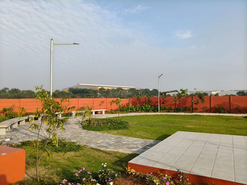 video image