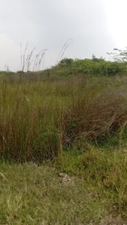 Residential Land for Sale 1200 sq.ft near varadharajapuram tollgate muduchur