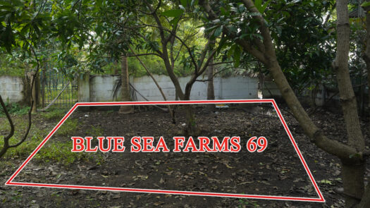Resale Plot for Sale in Pudupattinam 1400 Sq. ft