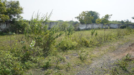 Resale Plot in Vengampakkam (975 Sq. ft)
